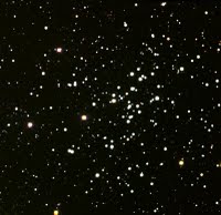 stelle